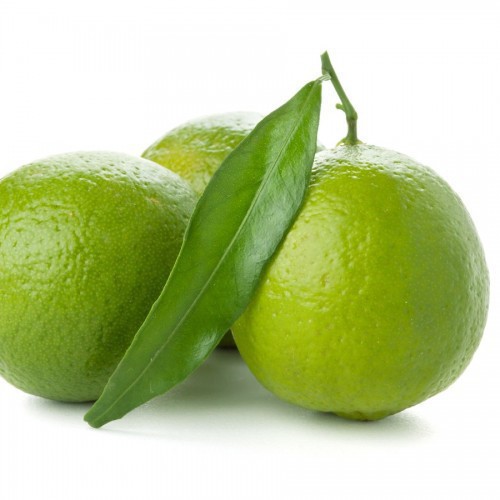 CITRUS LIMON (CITRONNIER LIME)