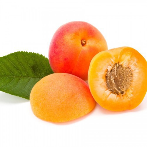 PRUNUS ARMENIACA (ABRICOTIER KANOUNI)