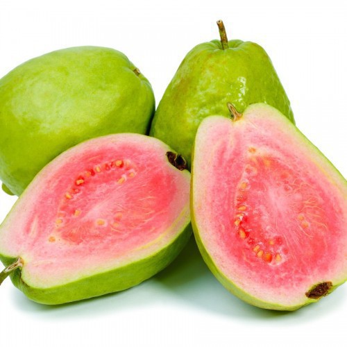PSIDIUM GUAJAVA (GOYAVIER-POMME)