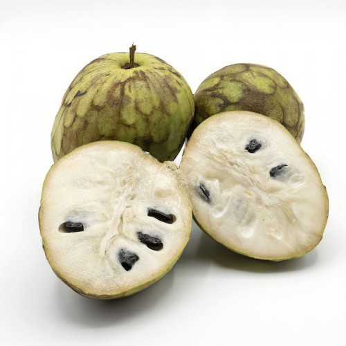 ANNONA SENEGALENSIS (ANNONIER) (CHIRIMOYA)