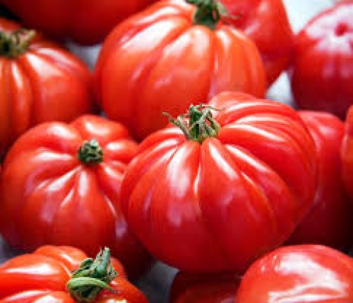 TOMATE MARMANDE
