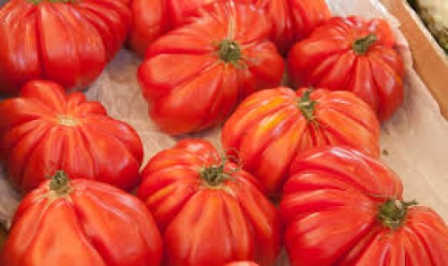 TOMATE COEUR DE BOEUF