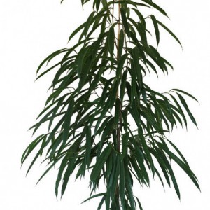 Variant 3