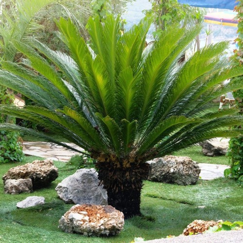 Variant 2