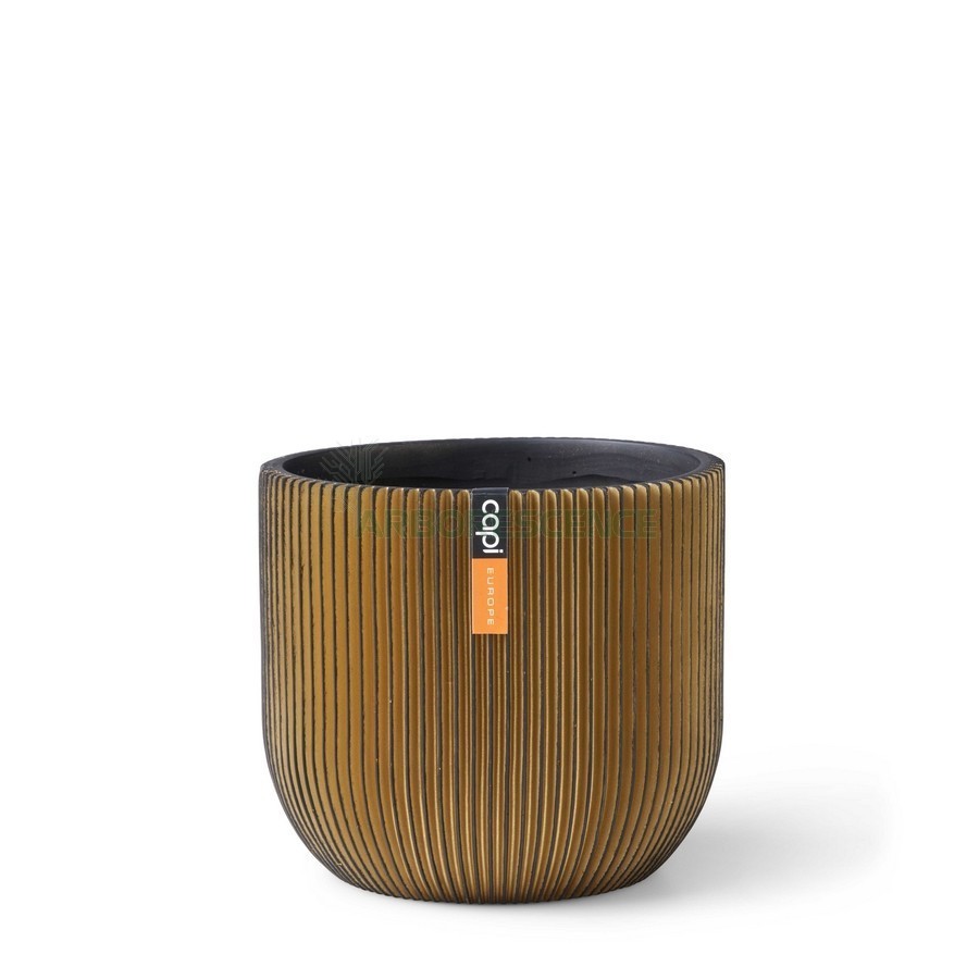Variant 5