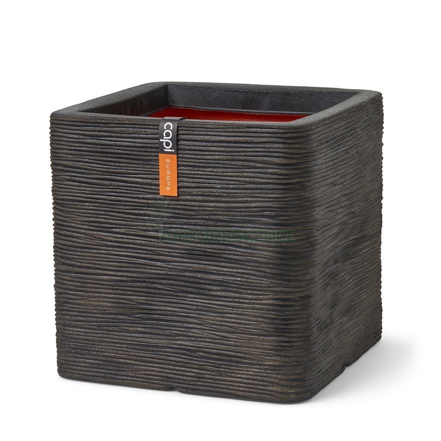 POT CARRE RIB NL
