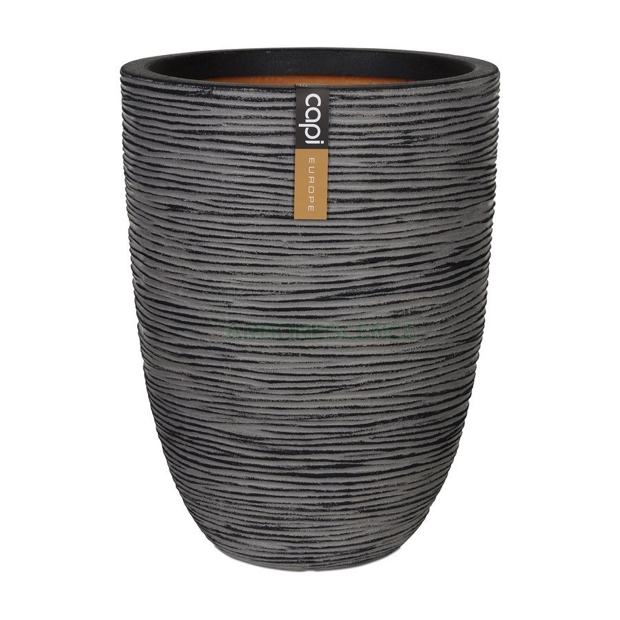 Variant 30