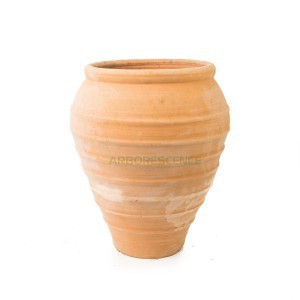 POT ZITOUNA
