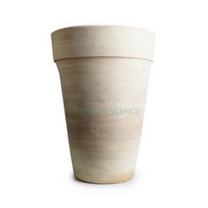 POT SIMPLE