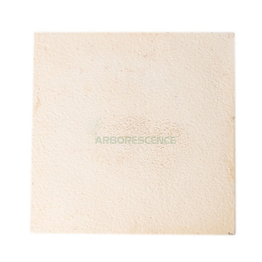 CARREAUX BOUCHARDE BEIGE