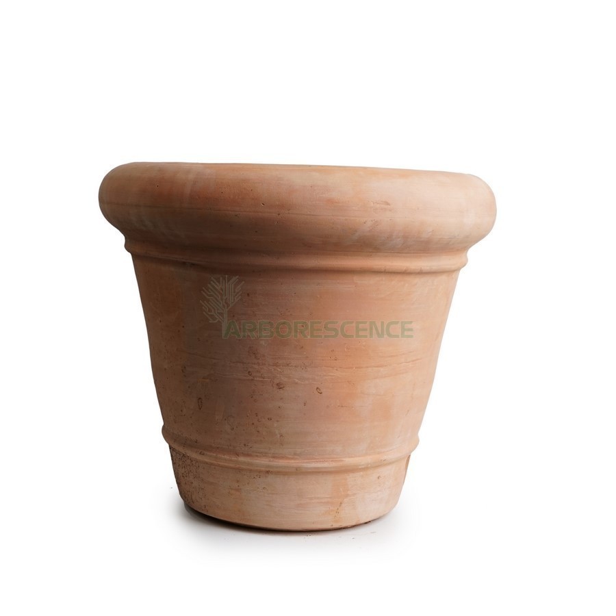 CACHE POT TC
