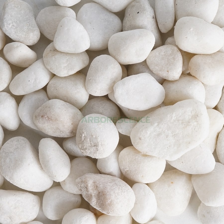 GALET BLANC - PIERRE NATURELLE