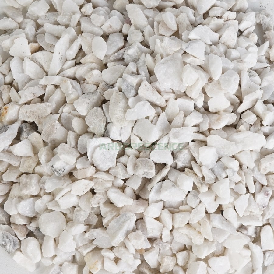 GRAVIER BLANC