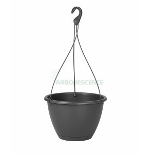 ALGARVE HANGING BASKET