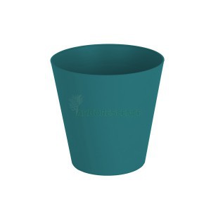 PORTO MATE POT CENOTE