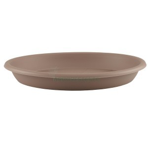 Variant 169