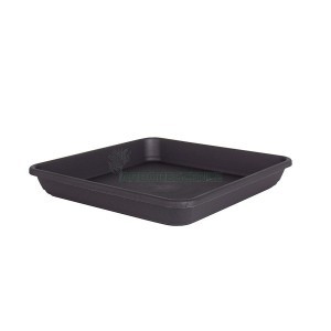 VENEZA SQUARE SAUCER