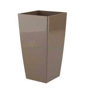 Variant 7