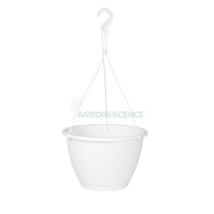 ALGARVE HANGING BASKET