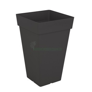 Variant 7