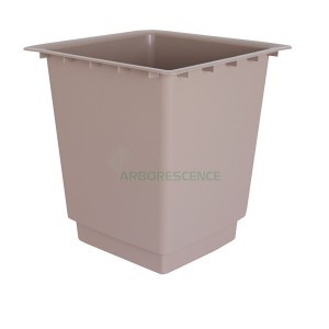 Variant 4