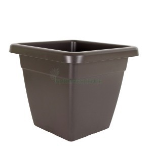 Variant 7