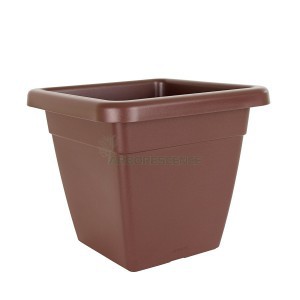 Variant 9