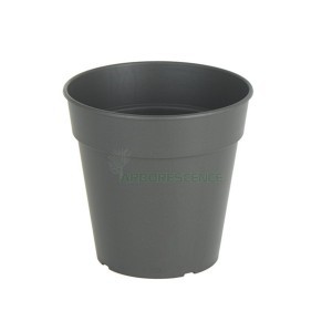 Variant 21