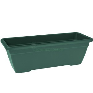 Variant 29