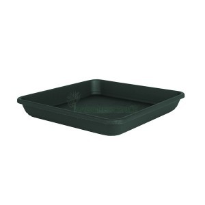 VENEZA SQUARE SAUCER