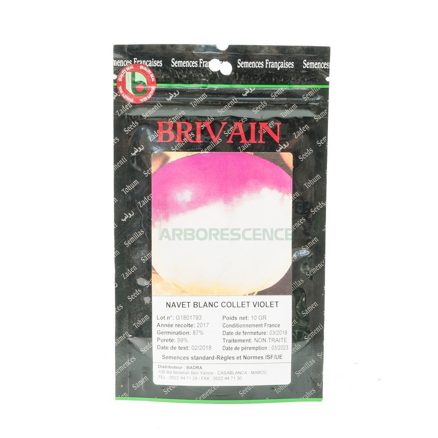 NAVET BLANC GLOBE COLLET VIOLLET