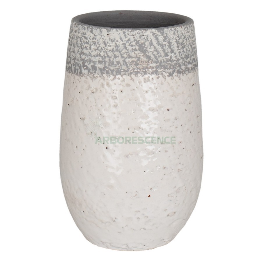 IRIS JAR