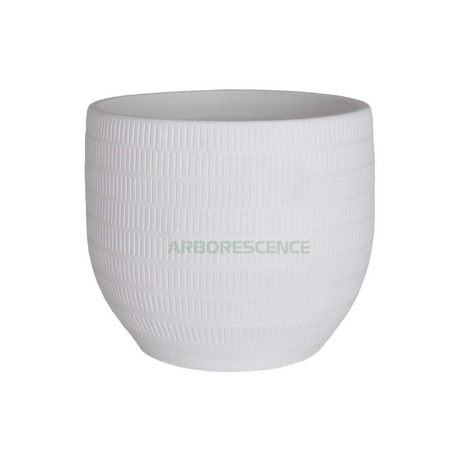 AURA POT